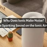 Why Does Ionic Make Noise? [Here’s The Fix]