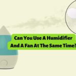 Can You Use A Humidifier And A Fan At The Same Time? 