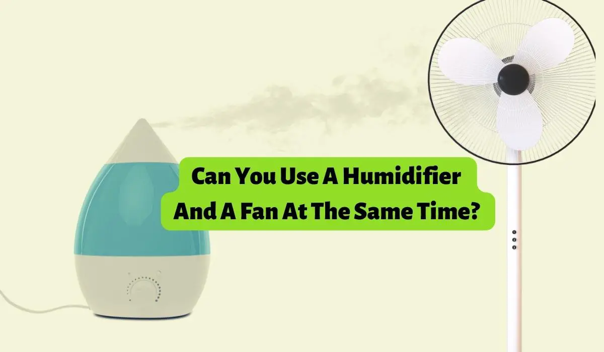 Can You Use A Humidifier And A Fan At The Same Time