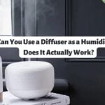Can You Use a Diffuser as a Humidifier? Facts Need to Know