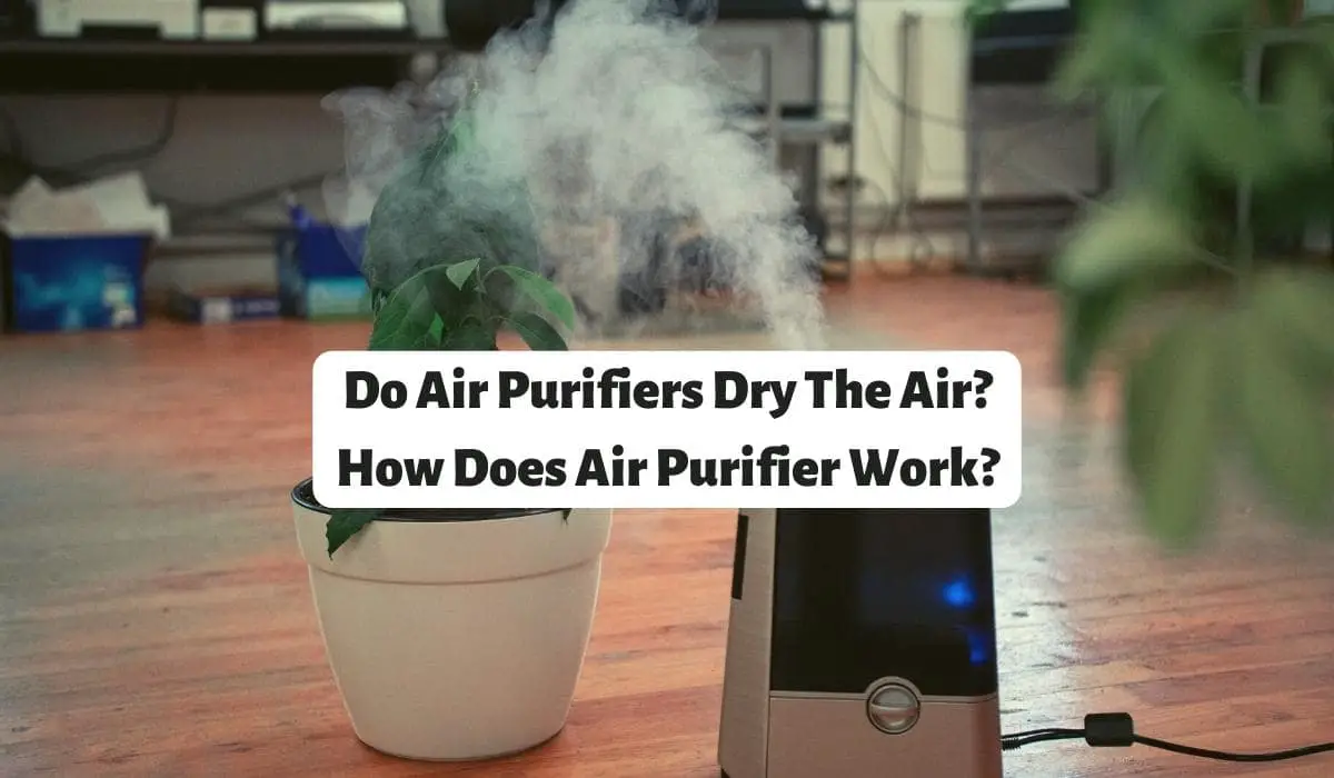Do Air Purifiers Dry The Air