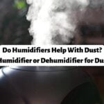 Do Humidifiers Help With Dust?    How Does It Work?