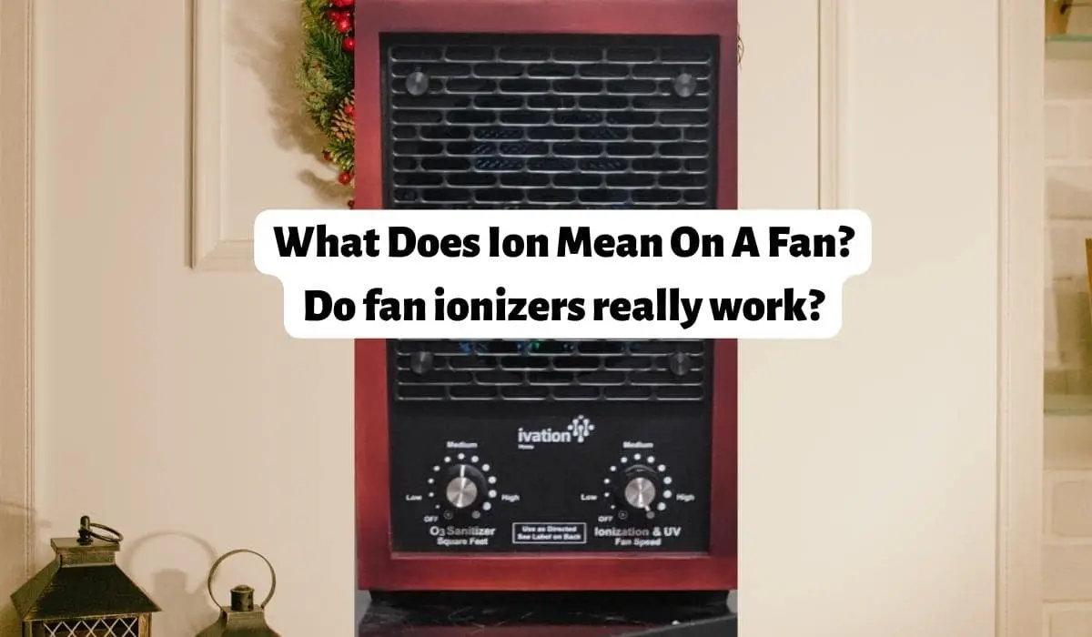 What Does Ion Mean On A Fan