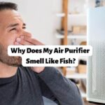 Why Does My Air Purifier Smell Like Fish? Is This Ignorable?