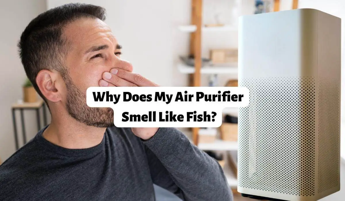 Why Does My Air Purifier Smell Like Fish