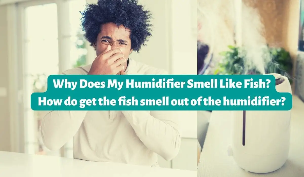Why Does My Humidifier Smell Like Fish
