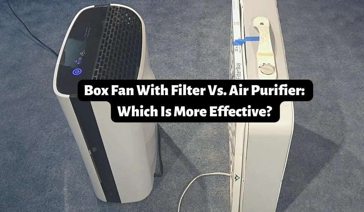Box Fan With Filter Vs. Air Purifier