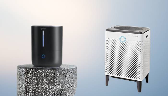 Can You Use An Air Purifier And Humidifier Together