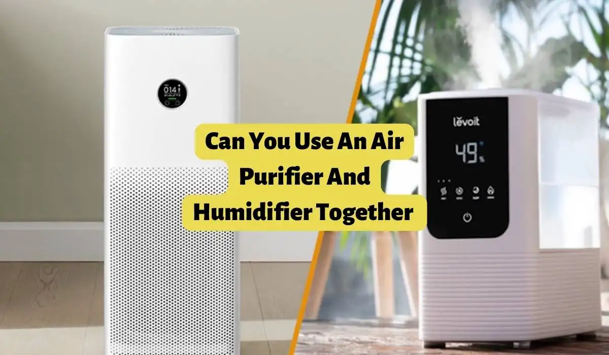 Can You Use An Air Purifier And Humidifier Together