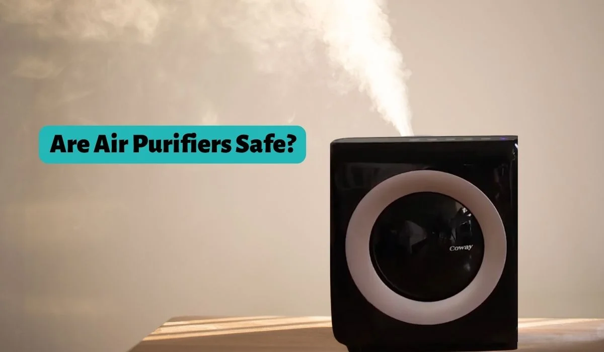 Are Air Purifiers Safe