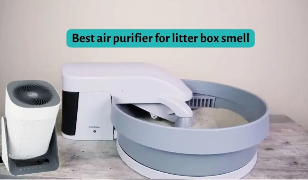 Best air purifier for litter box smell