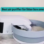 Top 3 Best Air Purifier for Litter Box – Research Revealed!