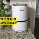 Do Air Purifiers Get Rid of Musty Smells: Choose the Right Purifier