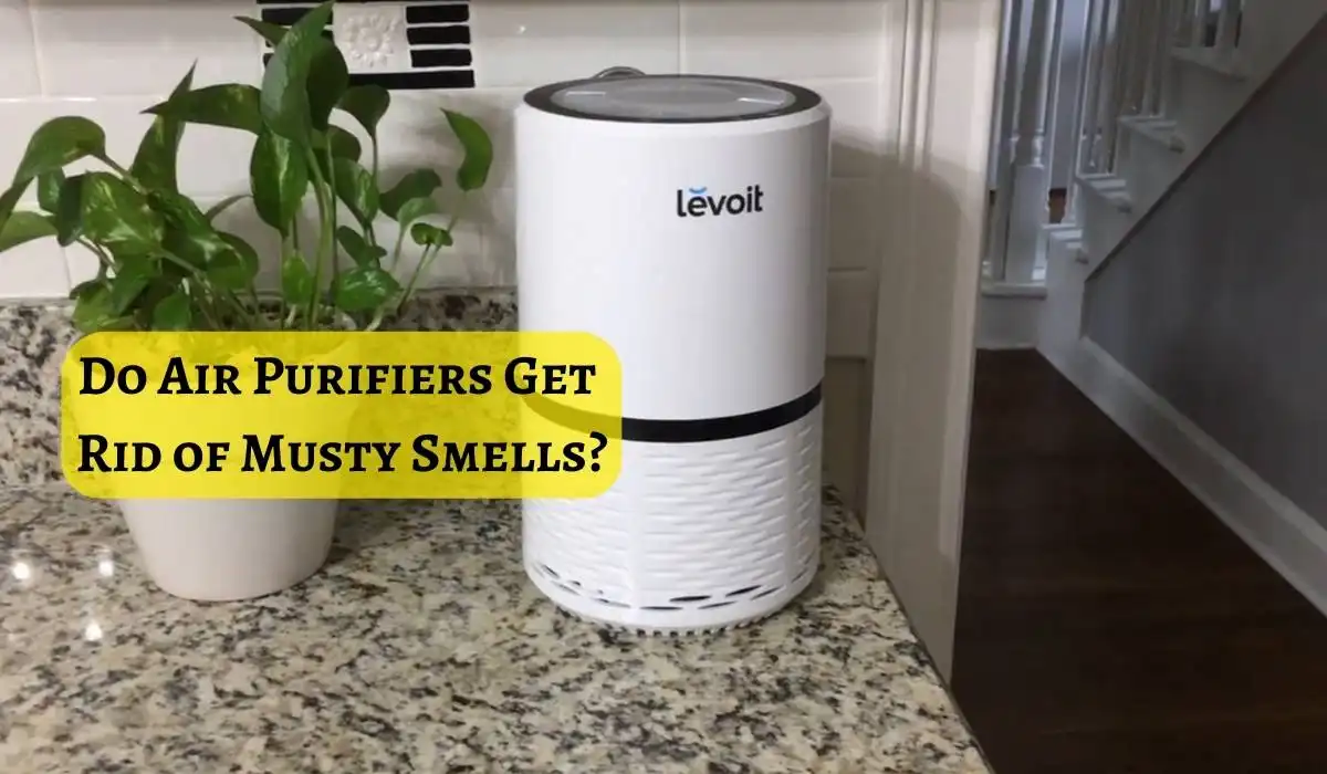 Do Air Purifiers Get Rid of Musty Smells
