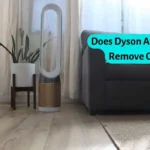 Does Dyson Air Purifier Remove Odors: Know Before You Buy