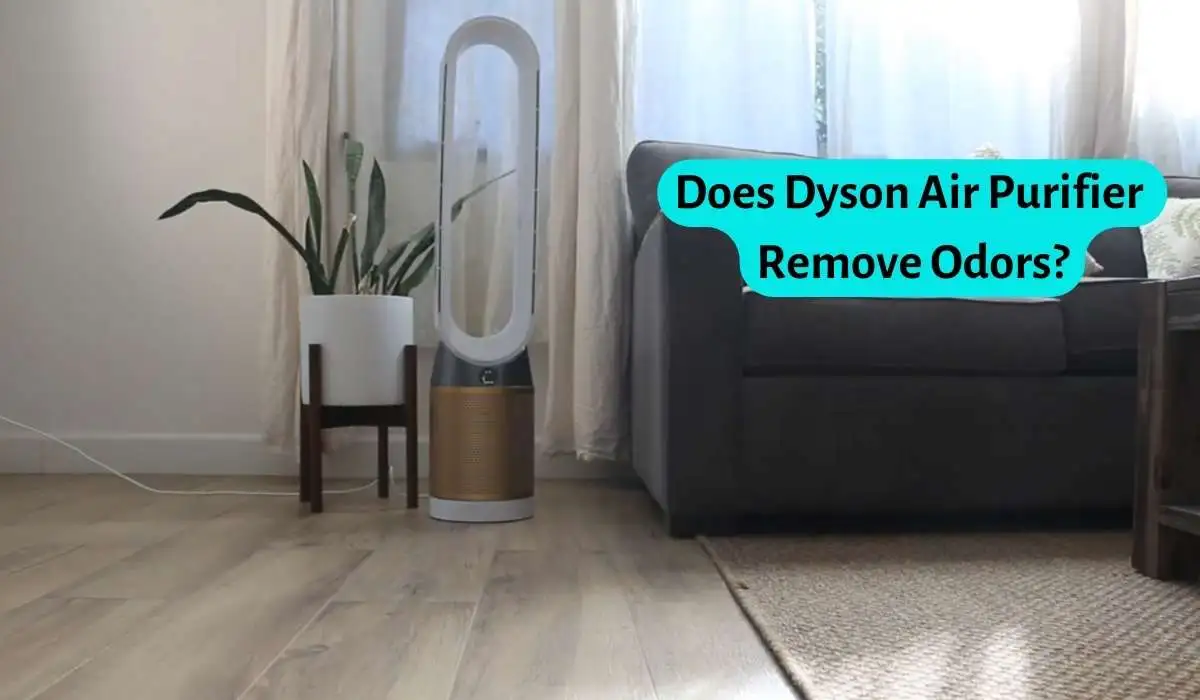 Does Dyson Air Purifier Remove Odors